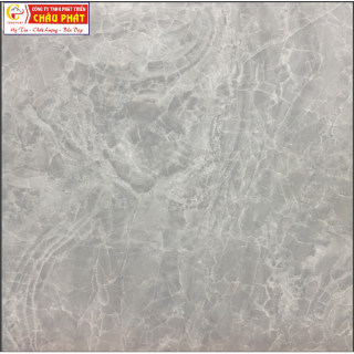 GẠCH LÁT SÀN NƯỚC 30X30 KNM 344