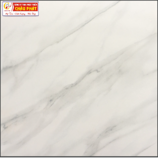 GẠCH LÁT SÀN NƯỚC 30X30 KNM 343