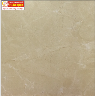 GẠCH LÁT SÀN NƯỚC 30X30 KNM 352