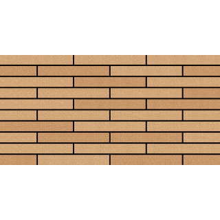 GẠCH ỐP TƯỜNG TRANG TRÍ 25×50 DACERA 2504