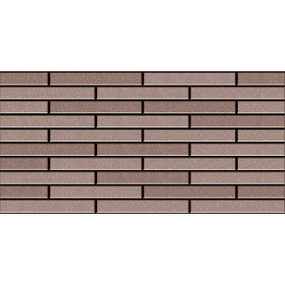 GẠCH ỐP TƯỜNG TRANG TRÍ 25×50 DACERA 2506