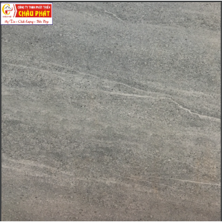 GẠCH LÁT SÀN NƯỚC 30X30 KNM 339
