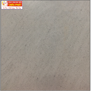 GẠCH LÁT SÀN NƯỚC 30X30 KNM 349