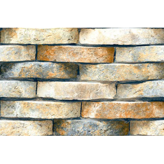 GẠCH TRANG TRÍ 30X45 ẤN ĐỘ 3403-03