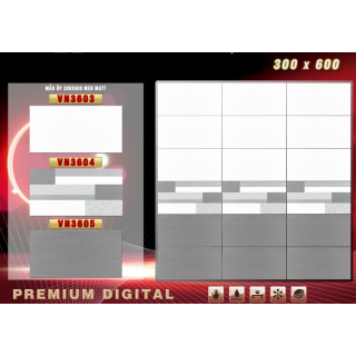 GẠCH ỐP TƯỜNG 30X60 THẠCH BÀN VN3603 - VN3605