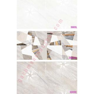 GẠCH ỐP TƯỜNG 30X60 ẤN ĐỘ 3603