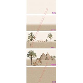 GẠCH ỐP TƯỜNG 30X60 ẤN ĐỘ 3606