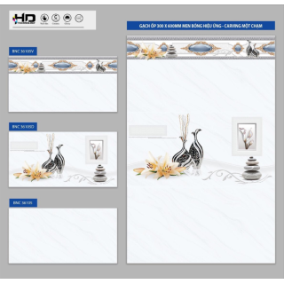 GẠCH ỐP TƯỜNG 30X60 BNC 36105 - 36105D - 36105V