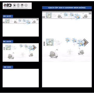 GẠCH ỐP TƯỜNG 30X60 BNC 36104 - 36107D - 36107V