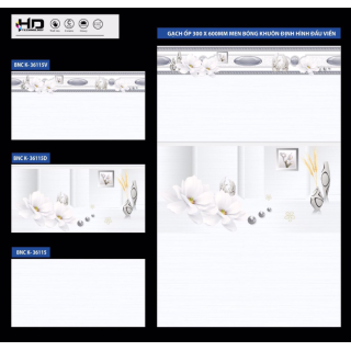 GẠCH ỐP TƯỜNG 30X60 BNC K36105 - 36115D - 36115V