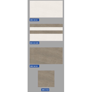 GẠCH ỐP TƯỜNG 30X60 BNC 36122 - 36123
