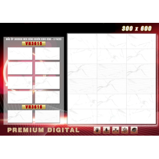 GẠCH ỐP TƯỜNG 30X60 THẠCH BÀN VN3615 - VN3616