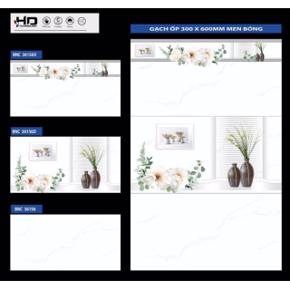 GẠCH ỐP TƯỜNG 30X60 BNC 36156 - 36156D - 36156V