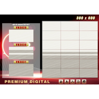 GẠCH ỐP TƯỜNG 30X60 THẠCH BÀN VN3629 - VN3631