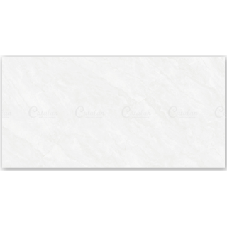 GẠCH ỐP TƯỜNG 30X60 CATALAN 3643