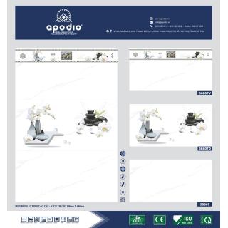 Gạch Ốp Tường APODIO 30x60 Đá Bóng Kính Trắng Khói 36807 - 36807V