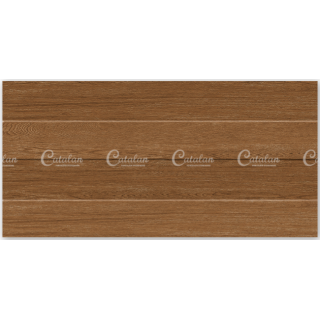 GẠCH ỐP TƯỜNG 30X60 CATALAN 3927