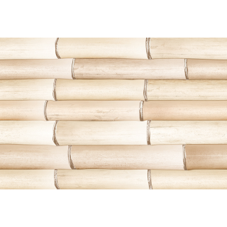 GẠCH TRANG TRÍ 30X45 ẤN ĐỘ 3965