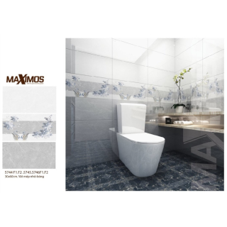 GẠCH ỐP TƯỜNG 30X60 MAXIMOS 5744 - 5746