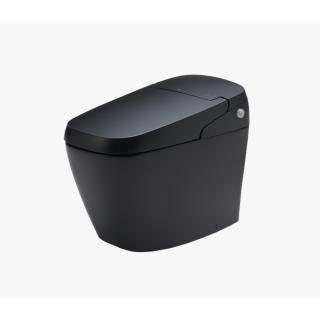 BỒN CẦU THÔNG MINH INAX AC-G216VN/BKG MÀU ĐEN