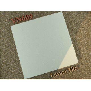 GẠCH LÁT NỀN 60X60 TRUNG NGUYÊN VN609