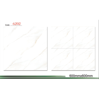GẠCH LÁT NỀN 60X60 6202 MEN BÓNG