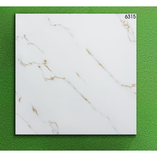 GẠCH LÁT NỀN 60X60 WORLD TILES 6315