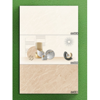 GẠCH ỐP TƯỜNG 30X60 HOÀN MỸ 66000 - 66001