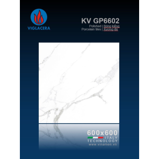 GẠCH LÁT NỀN 60X60 VIGLACERA GP6602