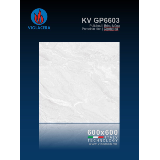 GẠCH LÁT NỀN 60X60 VIGLACERA GP6603