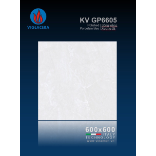 GẠCH LÁT NỀN 60X60 VIGLACERA GP6605