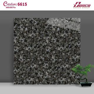 Gạch Lát Nền - Ốp Mặt Tiền 60x60 Vân Đá Hoa Cương Đen Catalan 6615