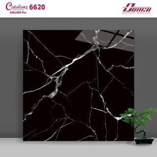 Gạch Lát Nền - Ốp Mặt Tiền 60x60 Đen Chớp Trắng Catalan 6620