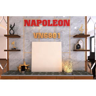GẠCH LÁT NỀN 60X60 TRUNG NGUYÊN VN6801
