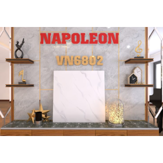 GẠCH LÁT NỀN 60X60 TRUNG NGUYÊN VN6802
