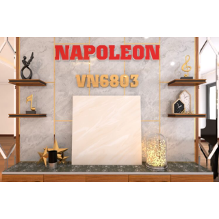 GẠCH LÁT NỀN 60X60 TRUNG NGUYÊN VN6803