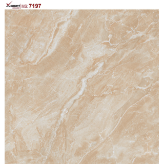 GẠCH LÁT NỀN 60X60 CATALAN XSMART XS7197