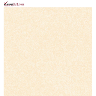 GẠCH LÁT NỀN 60X60 CATALAN XSMART XS7608