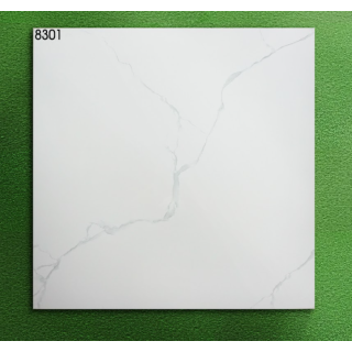 Gạch Lát Nền 80x80 World Tiles 8301