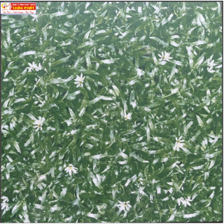 GẠCH LÁT SÂN VƯỜN 50X50 KNM 539