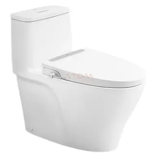Bồn Cầu INAX AC-989+CW-S32VN Nắp Rửa Cơ