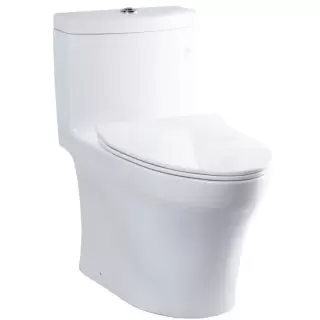 B&ocirc;̀n Cầu TOTO MS889DRT8 (MS889DT8) 1 Khối Nắp TC600VS
