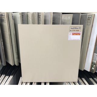 GẠCH ĐÁ LÁT SÂN VƯỜN 40X40 CTS4400