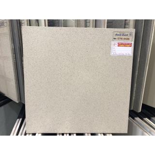 GẠCH ĐÁ LÁT SÂN VƯỜN 40X40 CTS4426