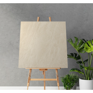 GẠCH ỐP LÁT FL6009