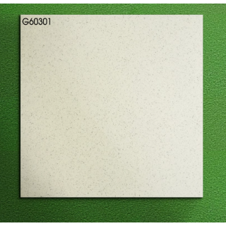 GẠCH LÁT NỀN 60X60 TRUNG NGUYÊN G60301