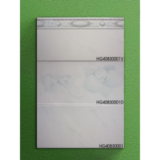 GẠCH ỐP TƯỜNG 40X80 HG40830001 - HG40830001V