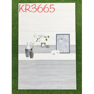 GẠCH ỐP TƯỜNG 30X60 KR3665