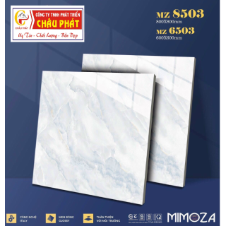 GẠCH LÁT NỀN 60X60 VICENZA MZ6503