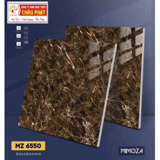 GẠCH LÁT NỀN 60X60 VICENZA MZ6550